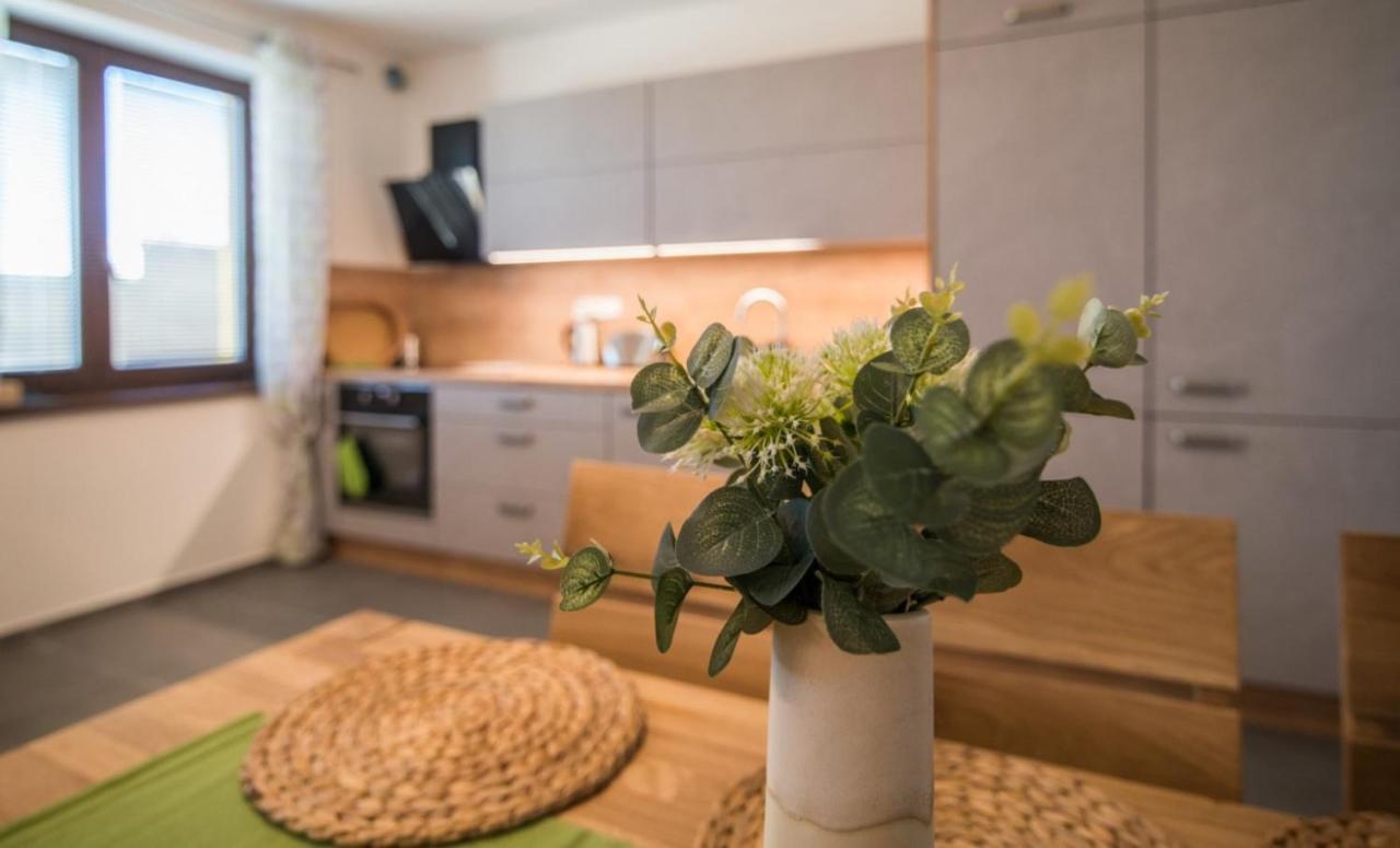Astra Lipno Apartment Frymburk Bagian luar foto
